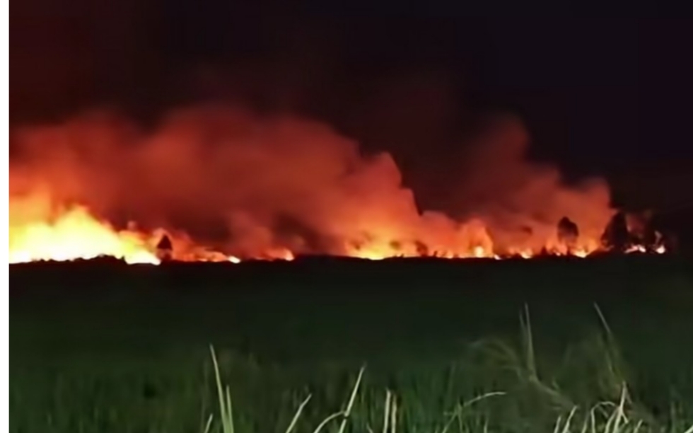 Luas lahan terbakar capai 777 hektare: Kabupaten Banjar paling parah di Kalsel